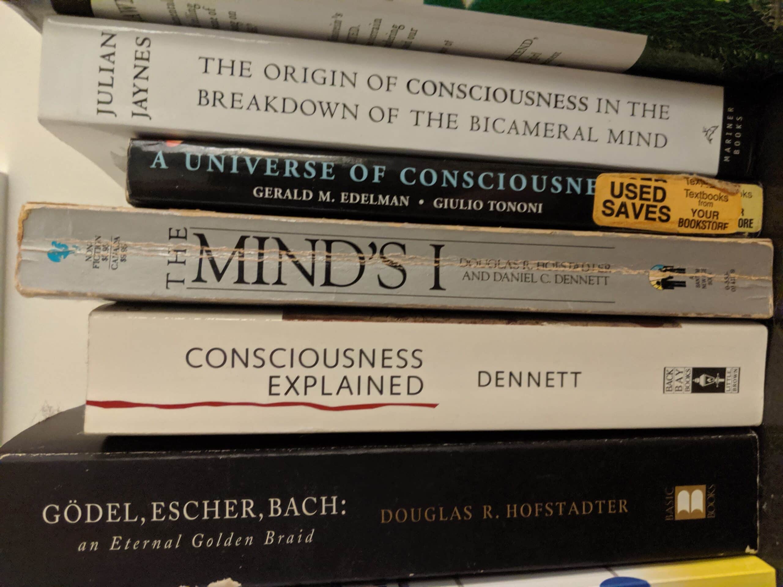 Here are books on consciousness found in our observable universe. These same books will also appear in a purely computational version of our universe -- written by computational authors -- who apparently are just as baffled by their conscious experiences as we are.